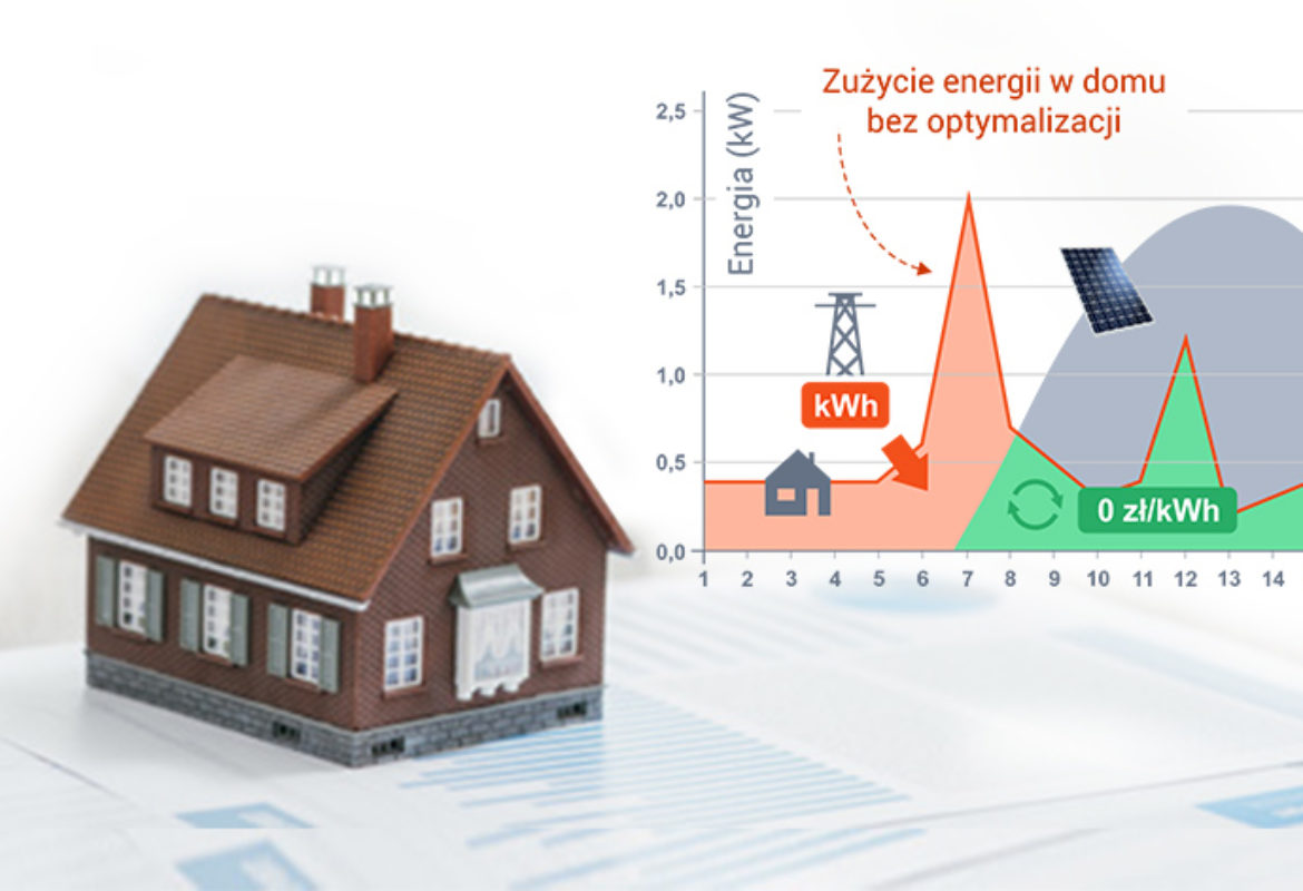 Jaki jest typowy profil zużycia energii w domu?